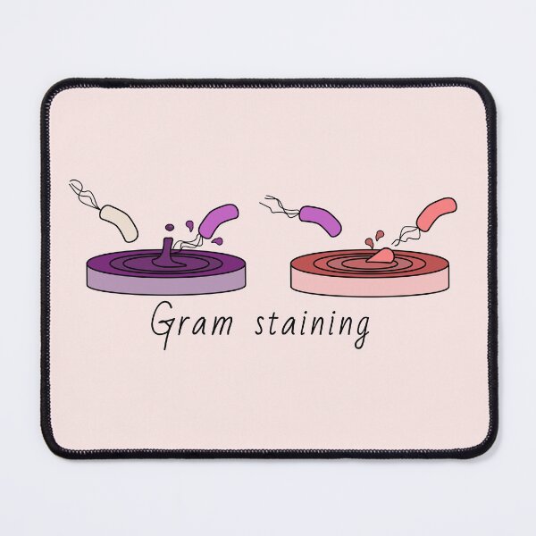 Item preview, Gram Stain designed and sold by MicroMarket.
