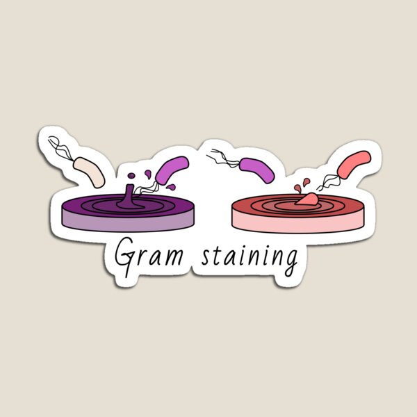 Item preview, Gram Stain designed and sold by MicroMarket.