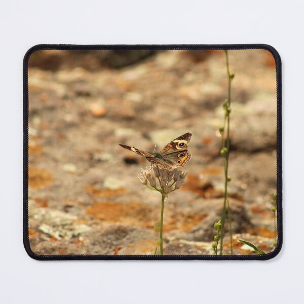 Item preview, Buckeye Butterfly on Wildflower designed and sold by Stephanie SD3 Creative.