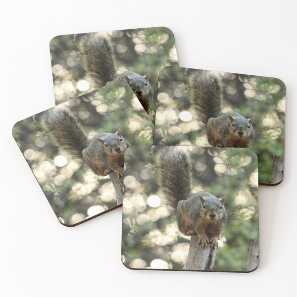 Item preview, Squirrel looking at you designed and sold by Stephanie SD3 Creative.