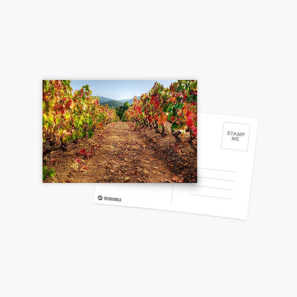 Item preview, Postcard designed and sold by patmo.