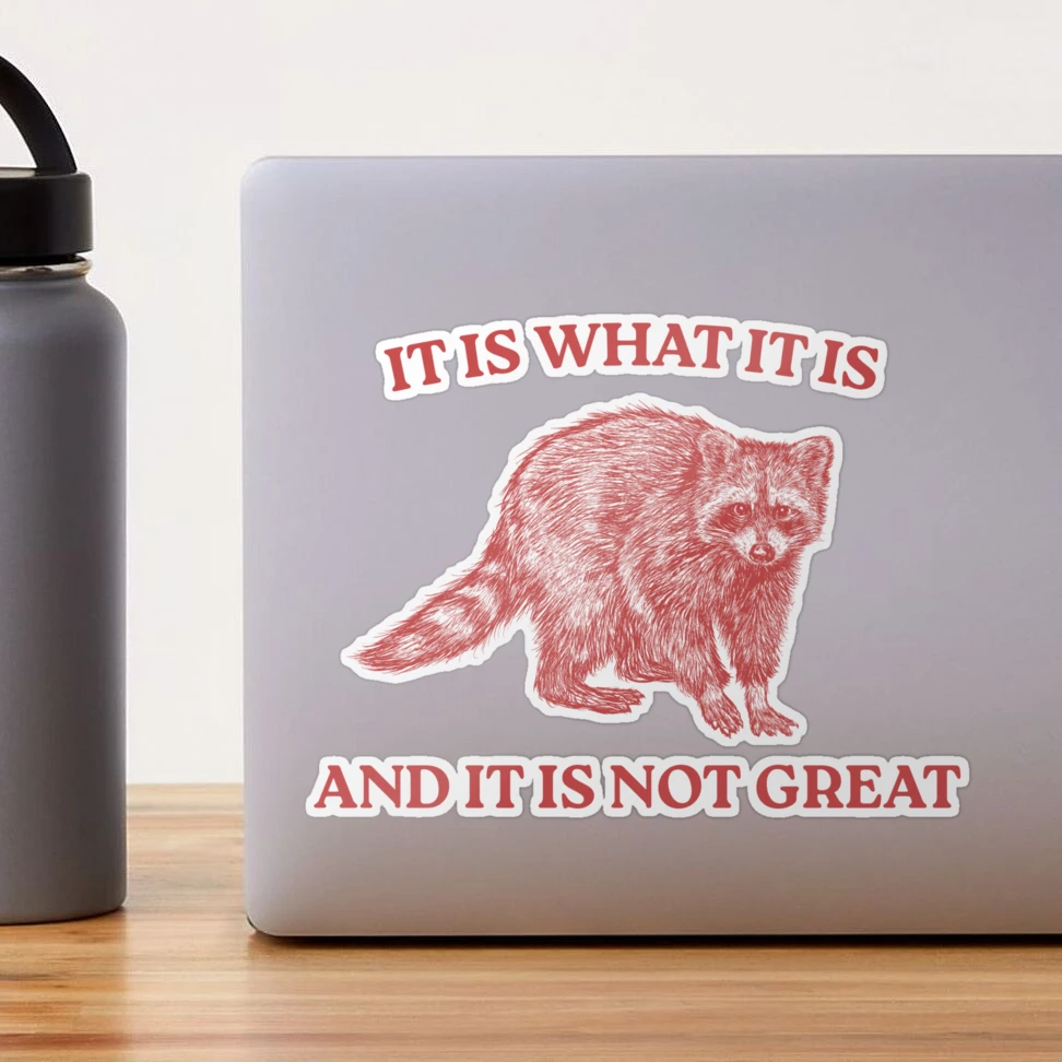 Lustiger Waschbär-Meme Aufkleber – 'It Is What It Is' Vinyl, Wasserdicht