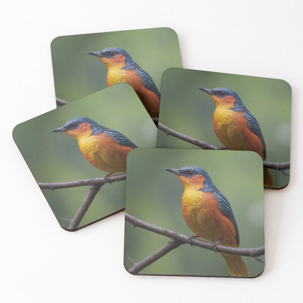 Item preview, Bor Bird designed and sold by Courtney Croxall.