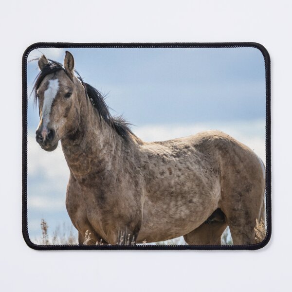 Item preview, South Steens Mustang Backed by Sky designed and sold by Belinda Greb Photography.