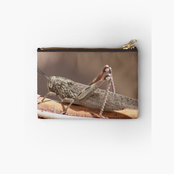 Item preview, locust designed and sold by Perggals© - Stacey Turner.
