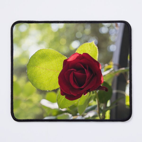 Item preview, One Rich Scarlet Rose in the Sunshine designed and sold by Georgia Mizuleva.