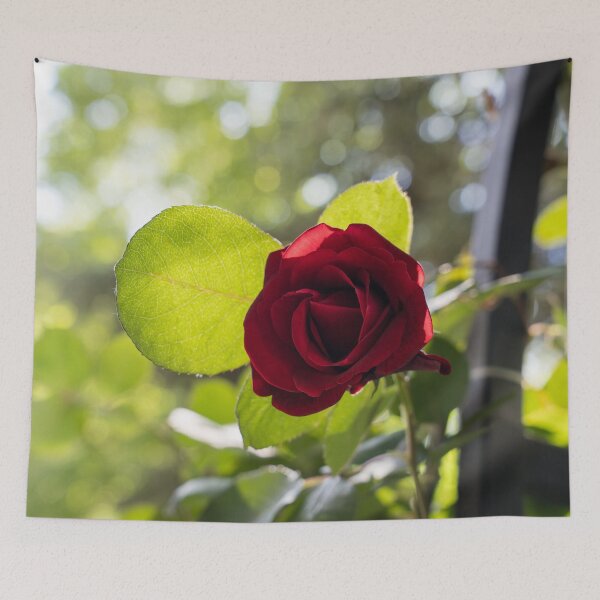 Item preview, One Rich Scarlet Rose in the Sunshine designed and sold by Georgia Mizuleva.