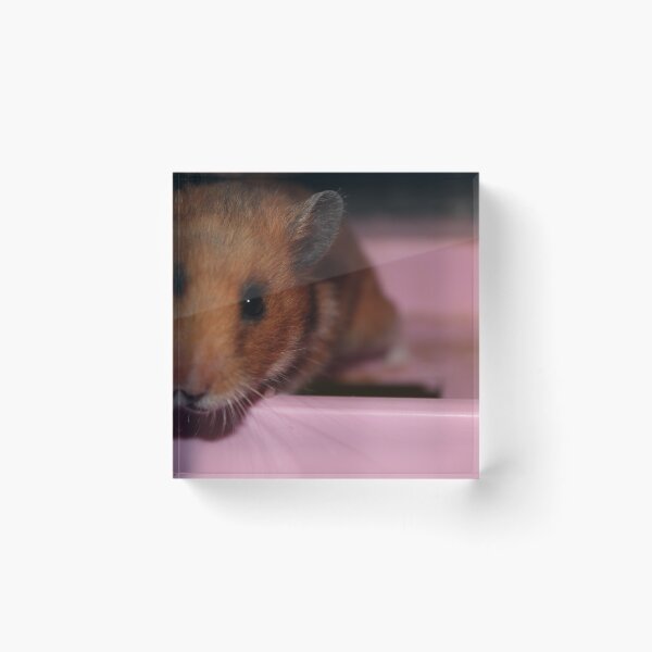 Item preview, Look into my eyes designed and sold by Perggals© - Stacey Turner.