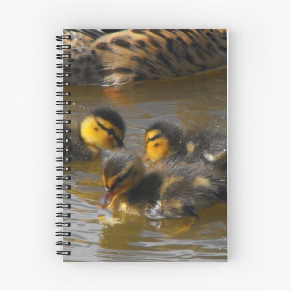 Item preview, duckling splash designed and sold by Perggals© - Stacey Turner.
