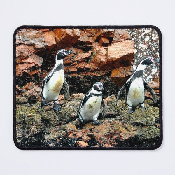 Item preview, Peru - Paracas - The Ballestas Islands designed and sold by franck380.