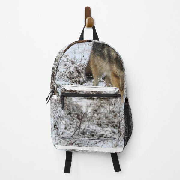Item preview, Lone Wolf - Kootenay National Park designed and sold by James (820Photography) Anderson.