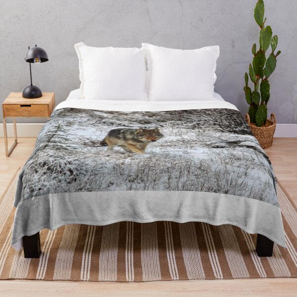 Item preview, Lone Wolf - Kootenay National Park designed and sold by James (820Photography) Anderson.