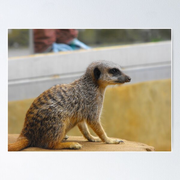 Item preview, cutie in colour designed and sold by Perggals© - Stacey Turner.
