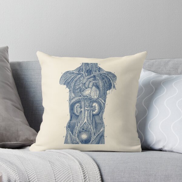 Item preview, Upper Body Anatomy Diagram designed and sold by VAposters.