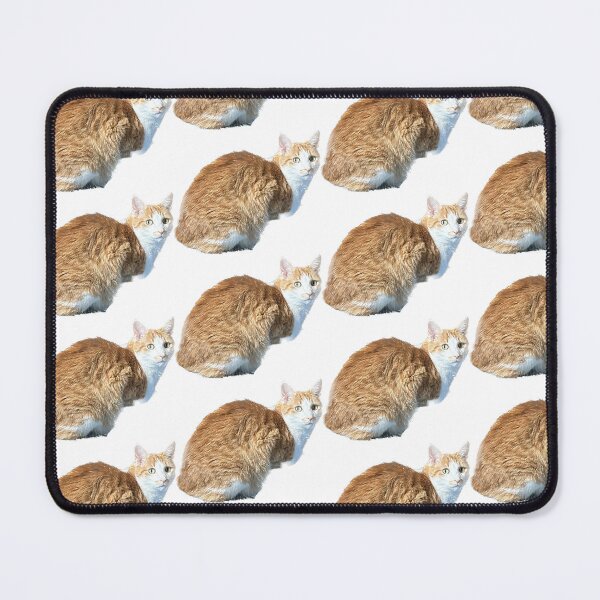 Item preview, Toonces Sitting designed and sold by DaniMationENT.