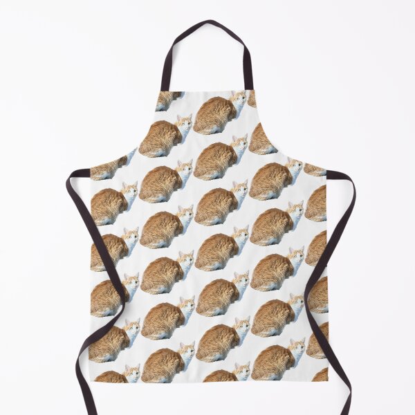 Item preview, Toonces Sitting designed and sold by DaniMationENT.