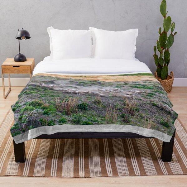 Item preview, Pastoreo de perros pastores en Nueva Zelanda designed and sold by JohnKarmouche.