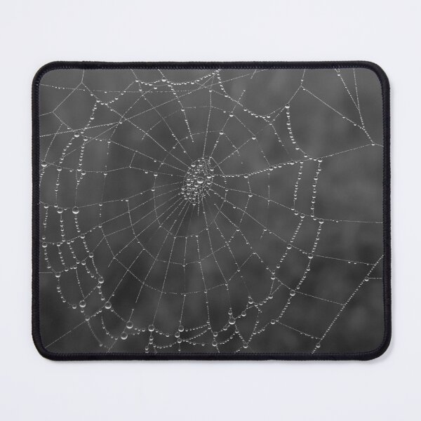 Item preview, Raindrops on the Gossamer Spider Web designed and sold by jaynerushton.