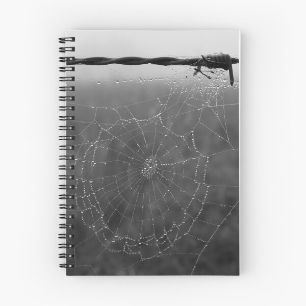 Item preview, Raindrops on the Gossamer Spider Web designed and sold by jaynerushton.