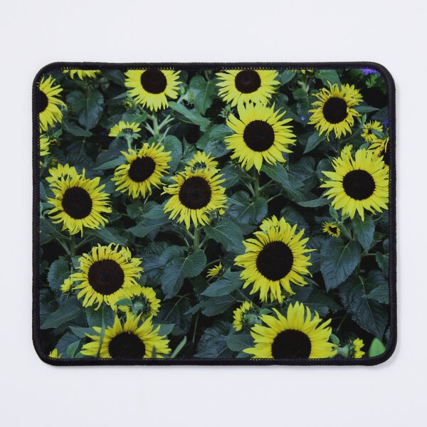 Item preview, Sunflowers (highest quality) designed and sold by Pete Klimek.