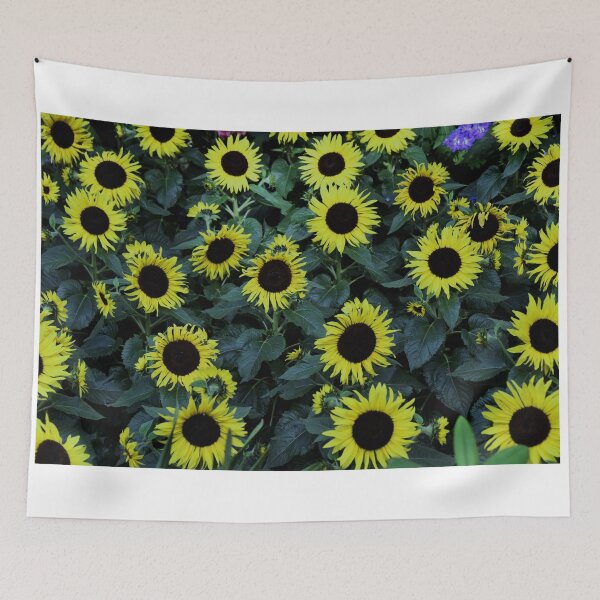 Item preview, Sunflowers (highest quality) designed and sold by Pete Klimek.