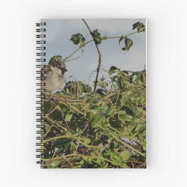 Item preview, bird meeting designed and sold by Perggals© - Stacey Turner.