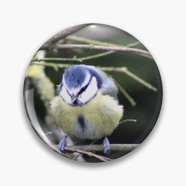 Item preview, blue tit designed and sold by KathleenDawson.