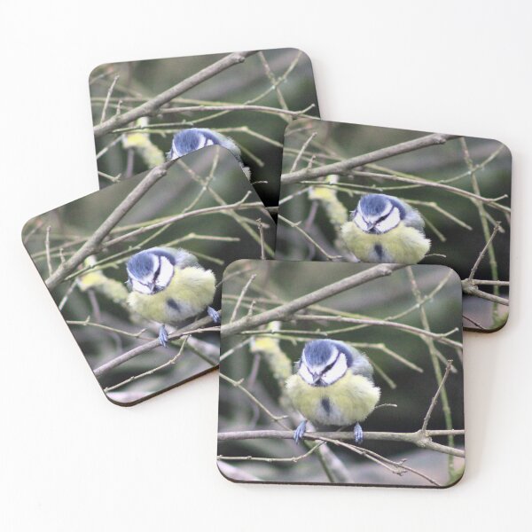 Item preview, blue tit designed and sold by KathleenDawson.