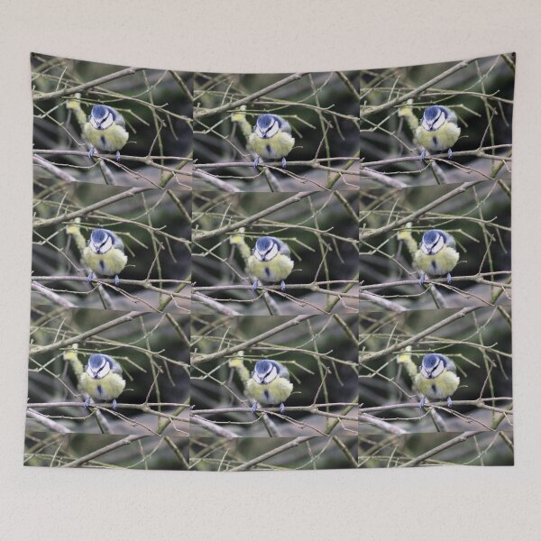 Item preview, blue tit designed and sold by KathleenDawson.