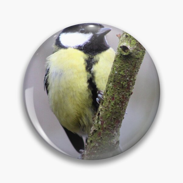 Item preview, great tit designed and sold by KathleenDawson.