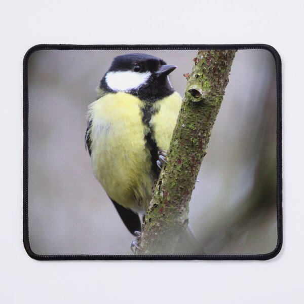 Item preview, great tit designed and sold by KathleenDawson.