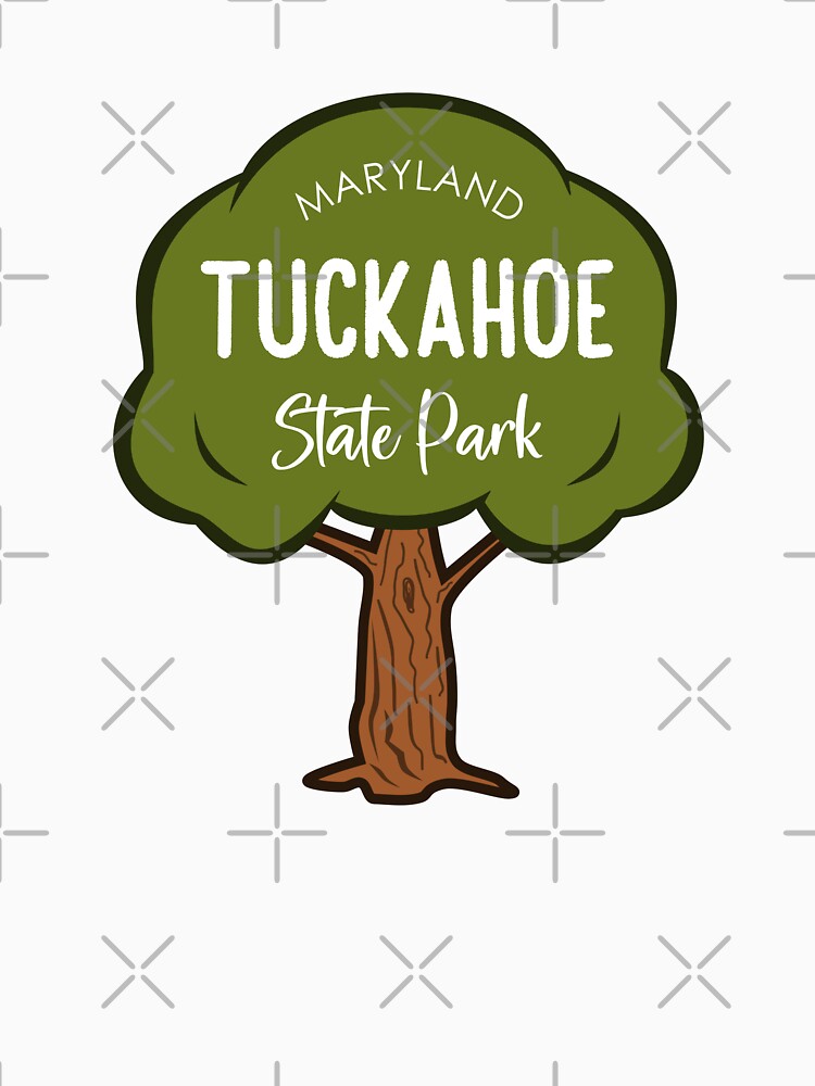 Tuckahoe State Park Maryland Tree