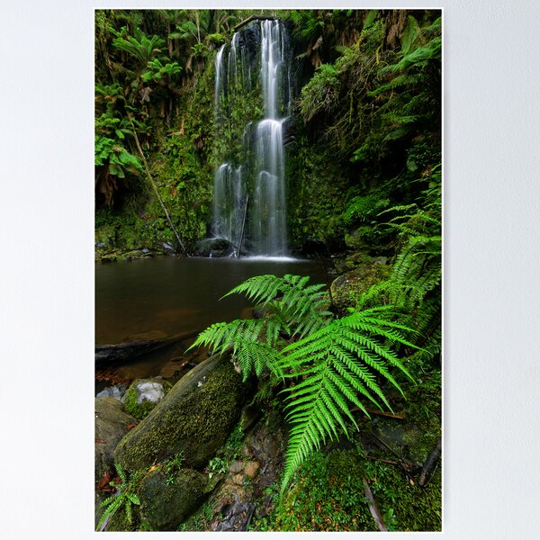 Item preview, Beauchamp Fernery designed and sold by Robert Mullner.