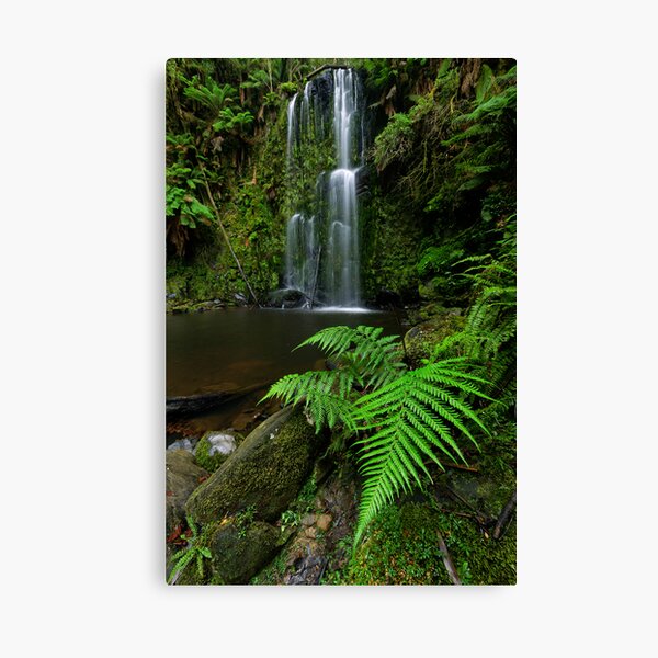 Item preview, Beauchamp Fernery designed and sold by Robert Mullner.