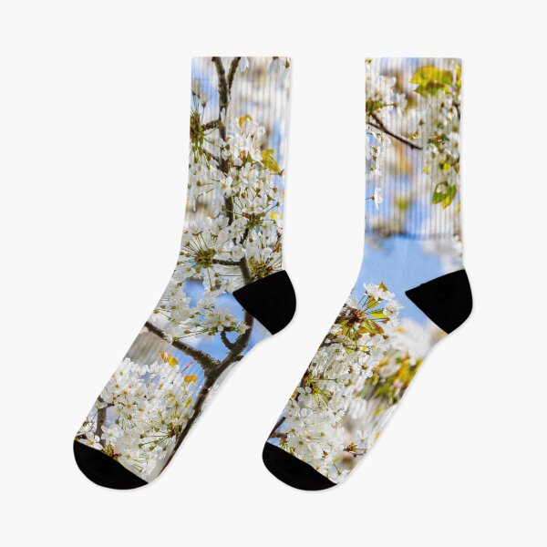 Item preview, White Blossom designed and sold by Dave Hare Photography.