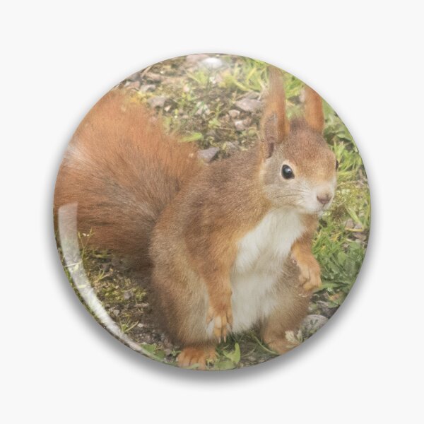 Item preview, squirrel designed and sold by Katja LebenFreude.