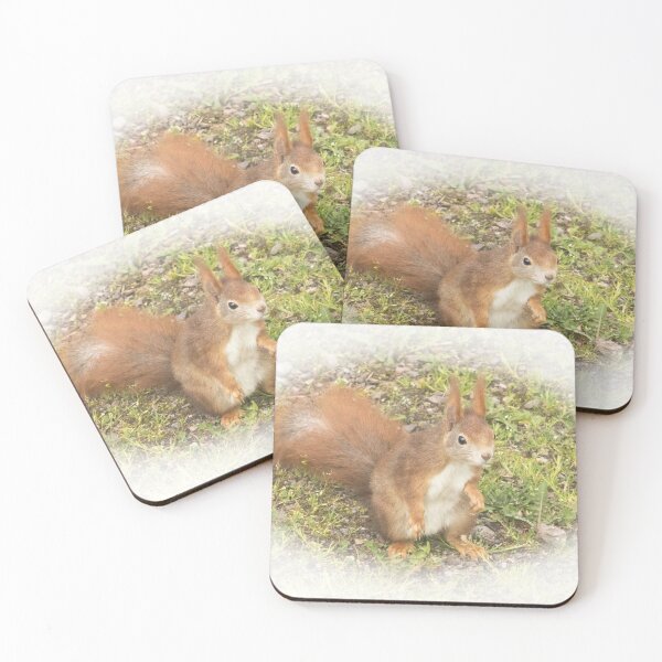 Item preview, squirrel designed and sold by Katja LebenFreude.