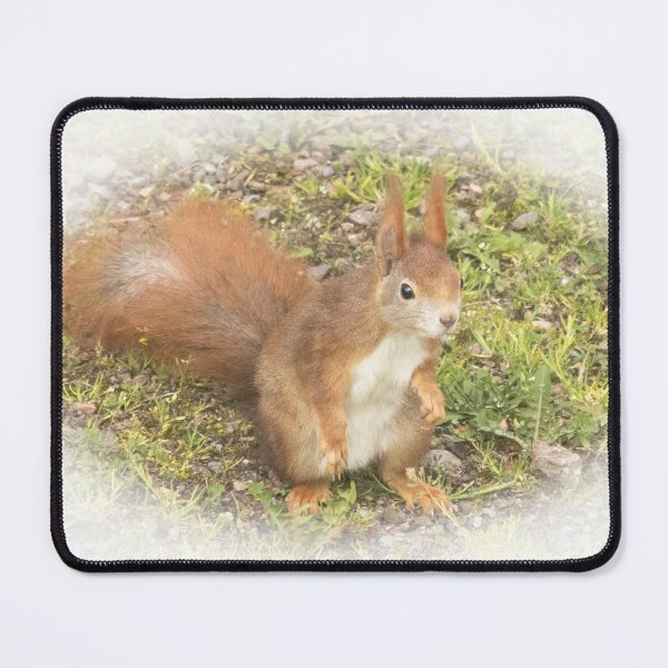 Item preview, squirrel designed and sold by Katja LebenFreude.
