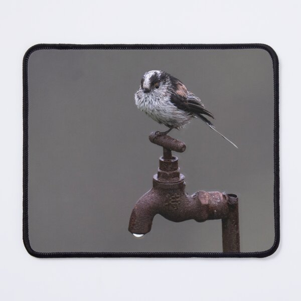 Item preview, long-tailed-tit  designed and sold by kathleenjean.