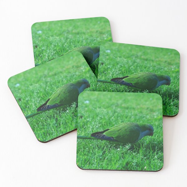 Item preview, Green Parakeet on Green Lawn designed and sold by KaSaPo.