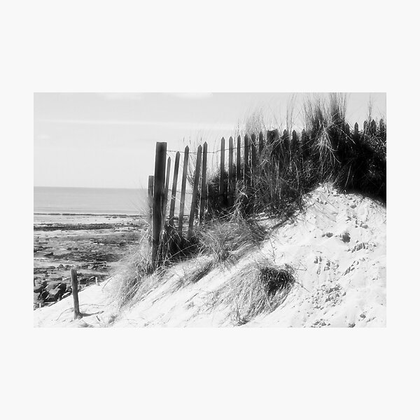 From the Dunes - Black and White Photographic Print
