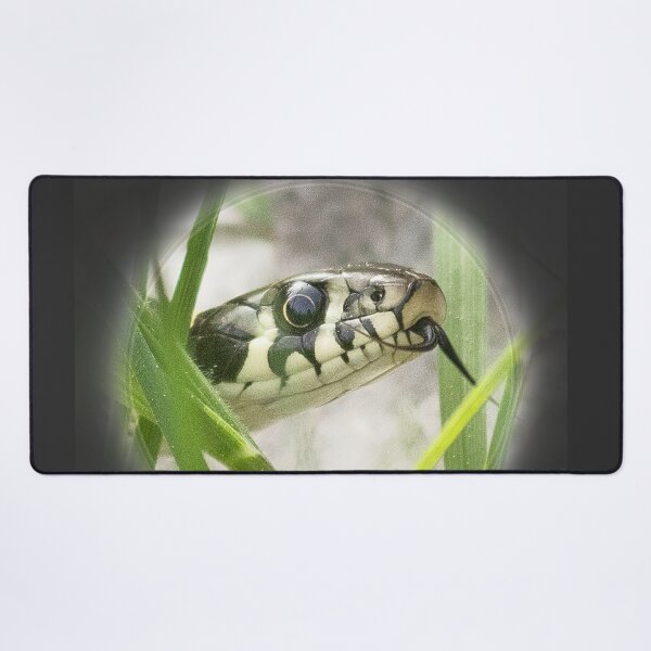 Item preview, Snakehead designed and sold by Katja LebenFreude.