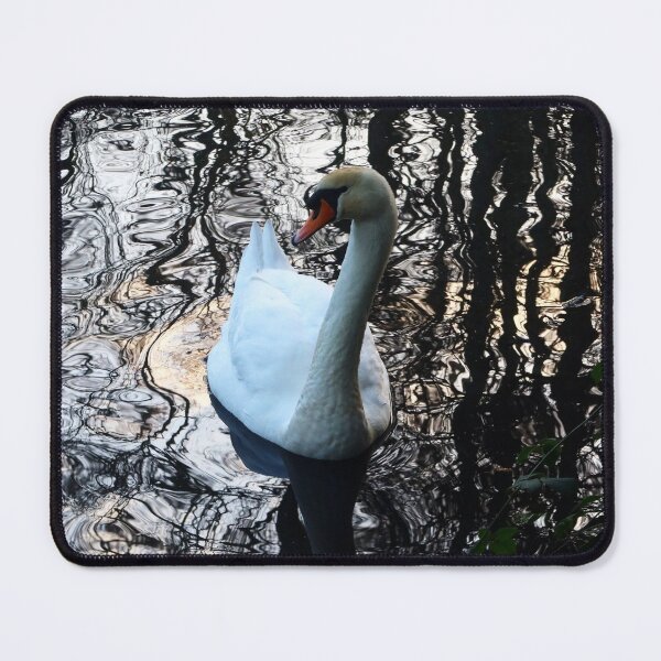 Item preview, Swan Reflections designed and sold by KaSaPo.