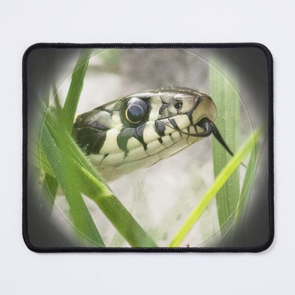 Item preview, Snakehead designed and sold by Katja LebenFreude.