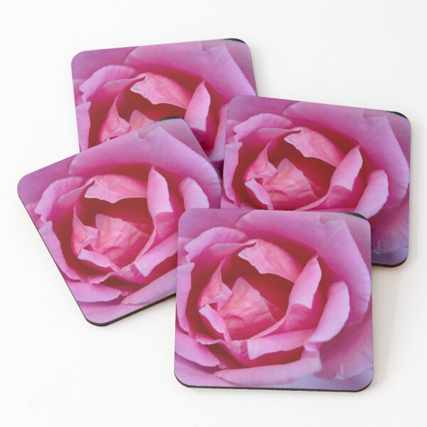 Item preview, Pink rose at home garden  designed and sold by mohamedeldin.