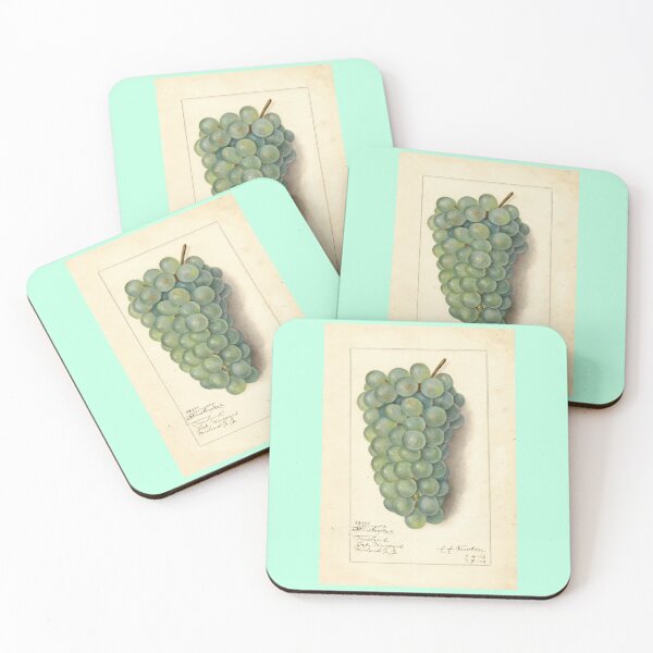 Item preview, Vitis Niagara, grapes Scientific Vintage Illustration designed and sold by Lacasadellora.