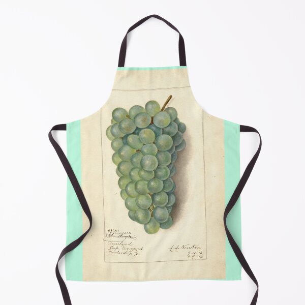 Item preview, Vitis Niagara, grapes Scientific Vintage Illustration designed and sold by Lacasadellora.