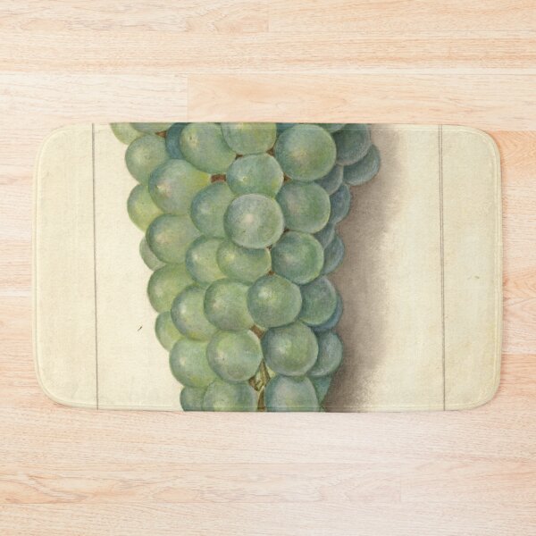 Item preview, Vitis Niagara, grapes Scientific Vintage Illustration designed and sold by Lacasadellora.