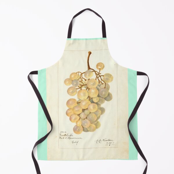 Item preview, Vitis Kurtelaska, grapes Scientific Vintage Illustration designed and sold by Lacasadellora.