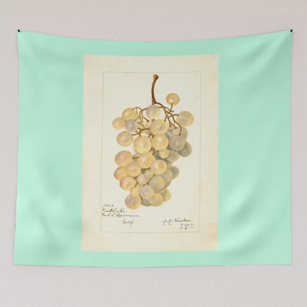 Item preview, Vitis Kurtelaska, grapes Scientific Vintage Illustration designed and sold by Lacasadellora.